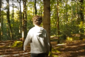 Tycho Brahe Forest