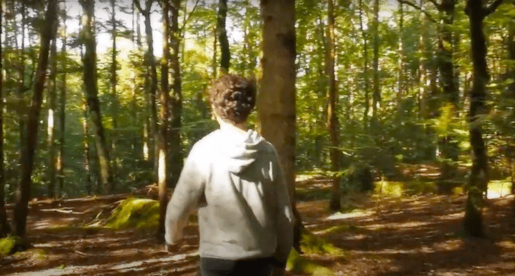 Tycho Brahe Forest