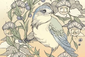 SweetFinch
