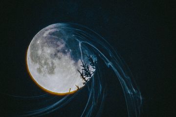 evil needle moonlit