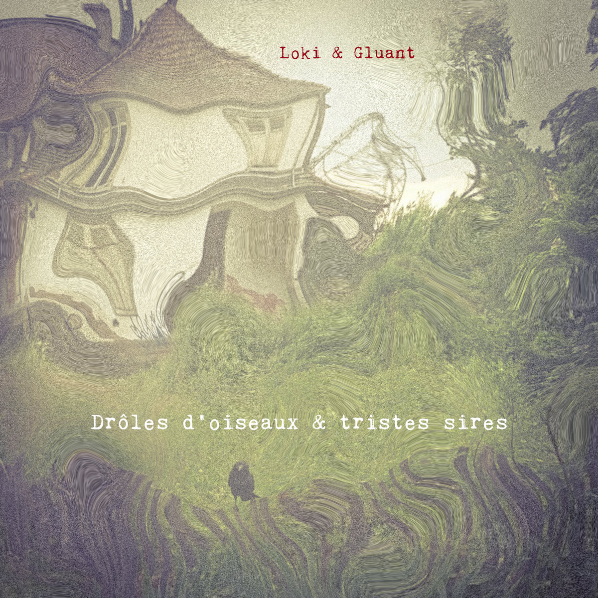 LOKI X GLUANT Drôles d'oiseaux & tristes sires