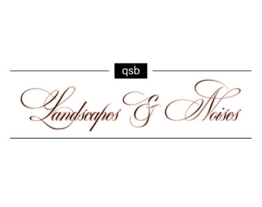qsb Landscapes & Noises